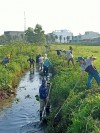 Hội Nông dân tích cực nạo vét kênh mương, chuẩn bị bước vào vụ Đông Xuân.